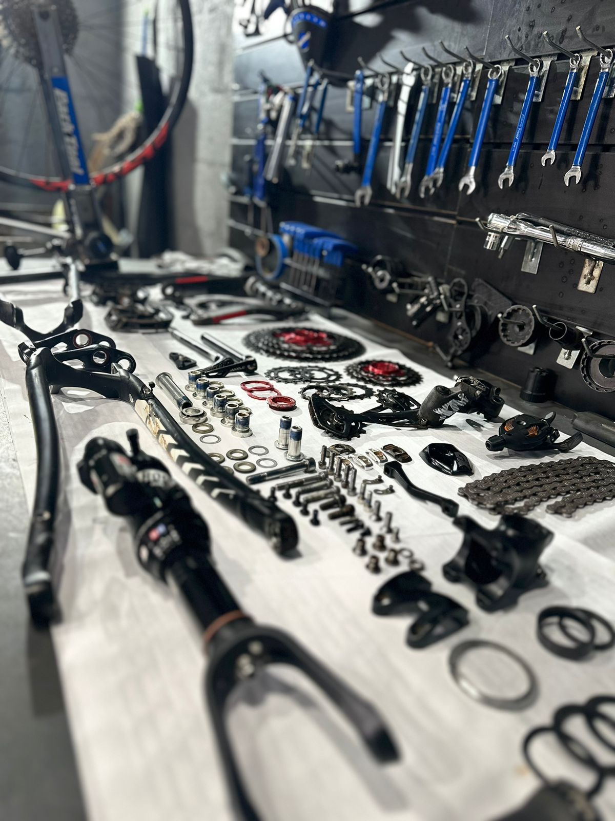 WhatsApp Image 2023-06-28 at 14.57.33.jpeg